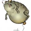 The Toad 02. .