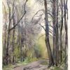  / Forest.   / plein air watercolor 2014  11,5x15 cm.