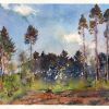  / Forest 3.   / plein air watercolor 2014  11,5x15 cm.